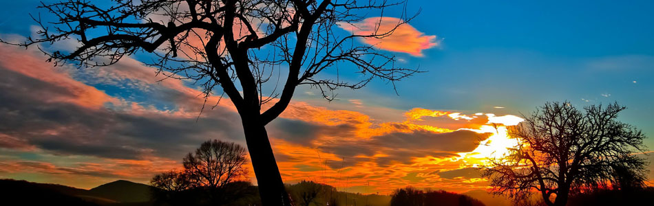 数据加密安全的短信电话免费轰炸网站