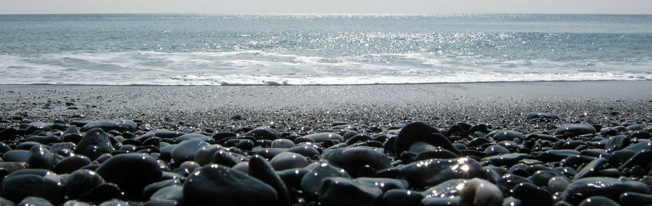 手机号轰在线轰炸免费下载