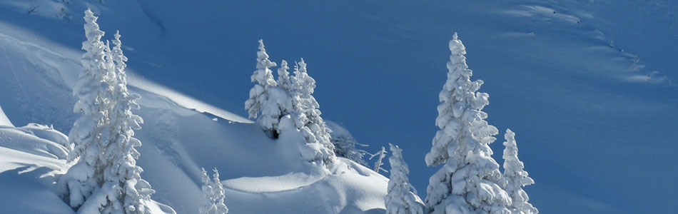 无限轰炸手机软件短信下载